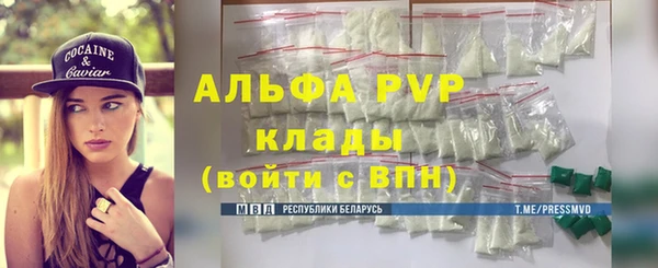 амф Снежногорск