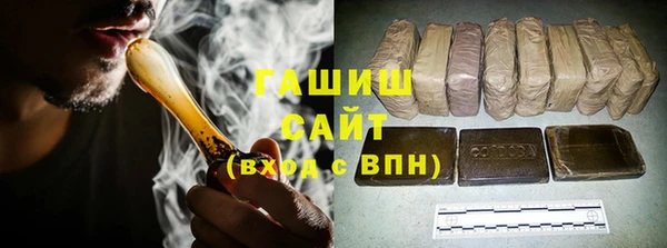 амф Снежногорск