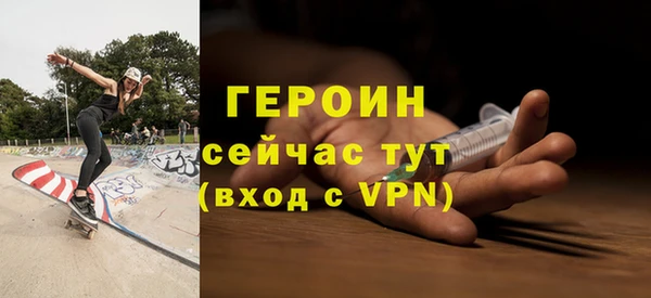амф Снежногорск