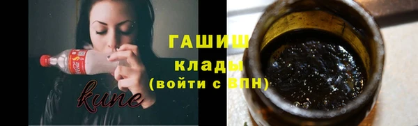 амф Снежногорск