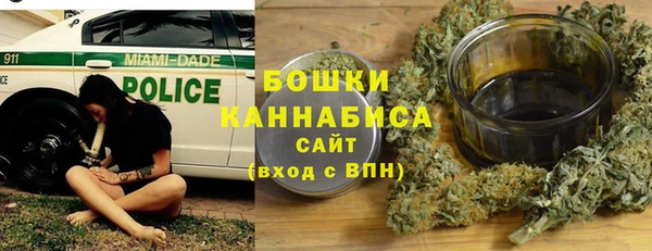 амф Снежногорск