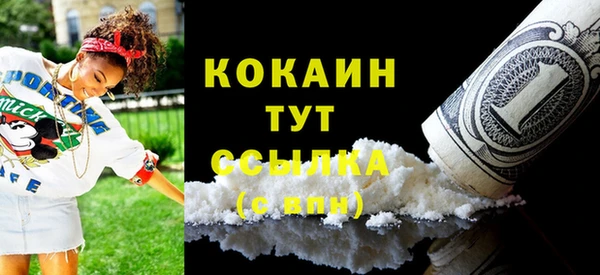 соль ск Почеп
