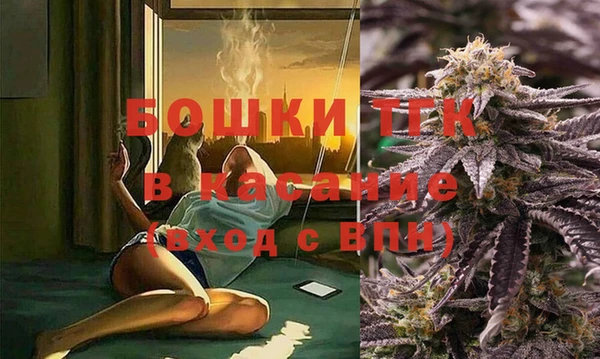 амф Снежногорск