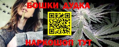 сатива Волгодонск