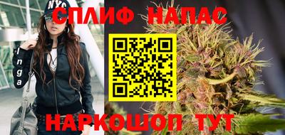 сатива Волгодонск
