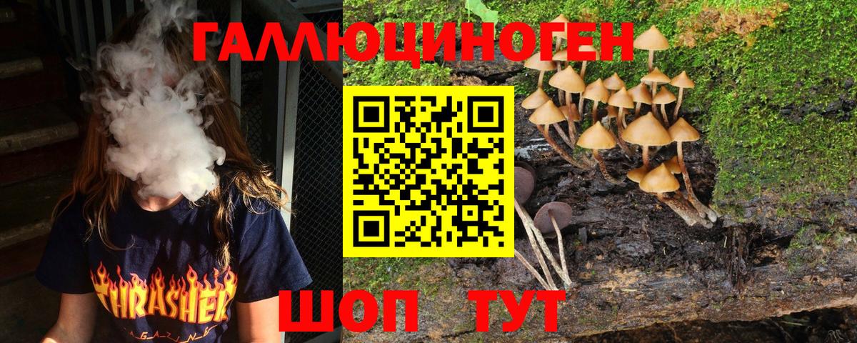 Галлюциногенные грибы Magic Shrooms Домодедово